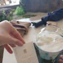 동굴 낙지와 쭈꾸미 | 충주 여행일기(호슬로정원, 활옥동굴,만복이쭈꾸미낙지볶음)