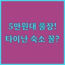 에버그린관광호텔 | 타이난 가성비 호텔 5곳 5만원대 최저가부터 전용 수영장 시설 후기