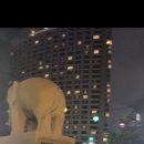 삼성동-18 이미지