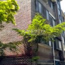 광릉내로 이미지