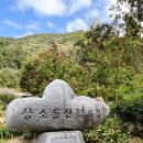 개울옆길 이미지