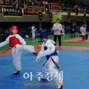 꿈나무태권도 이미지