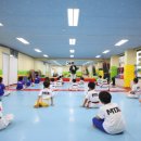 MTA태권도 이미지