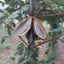 종만농장 이미지