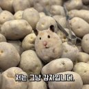 폭풍처럼 휘몰아친다~ 1월 일상도 가보작오~