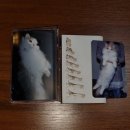 오프컷offcut