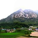 화지 1리 네이버블로그