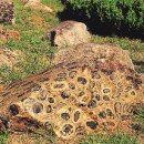 무주읍249 이미지