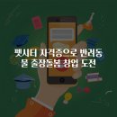 (신규)펫시터(산책·돌봄관리사) | 펫시터 자격증으로 반려동물 출장돌봄 창업 도전