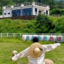 큰언덕목장 | 남해 양떼목장 아이와 가족여행 가볼만한곳 양마르뜨언덕