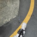 부산동물병원 제넷 이미지