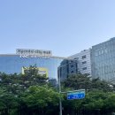 장지역네일샵 단골네일 가든파이브 문정 글리터 원컬러
