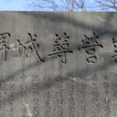 영영축성비 이미지