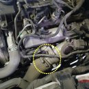 수원-0183 이미지