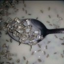 존재의 무게 이미지