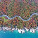 천년의 하루 이미지