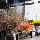 더베스트모텔 이미지