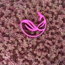 찌개맛집 | 용암동 고래부대찌개, 동남지구 부대찌개 맛집 후기