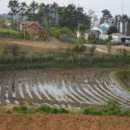 삭선2리 다목적회관 이미지