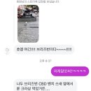 햇님약국 | 🇦🇺 BNE_호주 브리즈번 / 먹고 자다가 끝난 24시간 레이오버