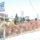 갈전농장 이미지