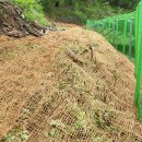 태산 태양광발전소 이미지