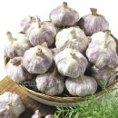 정동영농 조합법인 이미지