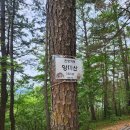 양마산 물빛길 이미지