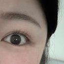 엘케이쁨 네이버블로그