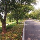 덕진-108 이미지