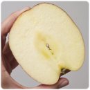 아이조아라 | 문경 사과 5KG 조아라농원 아삭함 울린 부사 사과