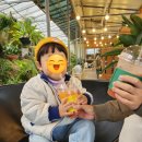 일오공삼 | 가덕도 카페 일오공삼 후기,