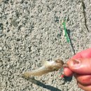 창선어부의집 이미지