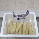 용평청과