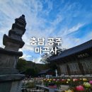 마곡사성보박물관 | 공주 여행 마곡사 주차장 단풍 성보박물관