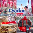 패스비 | 오사카놀거리 우메다 햅파이브 관람차 주유패스 무료입장 후기 시간 높이