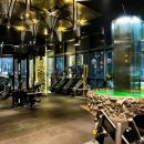 주식회사 킹스짐PT | 광교 킹스짐 호수공원점 영통 다이어트 성공기: 뷰티 블로거의 솔직 후기