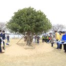 진도엘피지 이미지