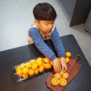 오서방네 농장 | 제주도감귤 오서방네감귤농장 배송 비타민 충천!