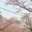 용평사거리 이미지