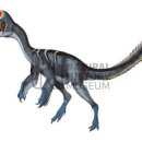 알라모사우루스 이미지