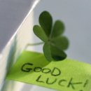 인생국밥 이미지