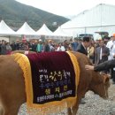 주흘문화센터 이미지