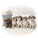 바람이 머무는 집 | 햇살과 바람이 머무는 남원 전원주택, 일상의 여유를 담은 커튼블라인드 스타일링