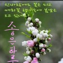 토요일 이미지