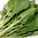 고려농약사 이미지