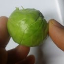 평화농장(2) 이미지