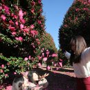 김명선농장 이미지