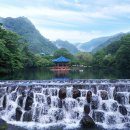 정촌가요특구 안내소 | 사계절 아름다운 내장산국립공원, ‘한국 관광 100선’ 선정-내장산 사계절 사진
