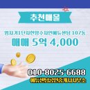 수자인공인중개사사무소 이미지